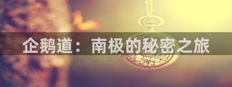 “海角社区入口官网登录：企鹅道：南极的秘密