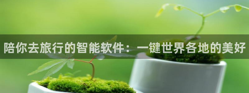 91成人海角社区：陪你去旅行的智能软件：