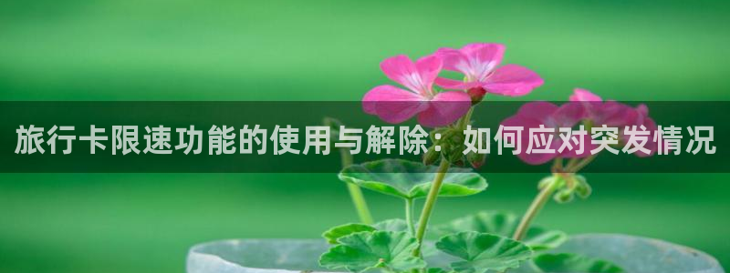 海角社区观看免费：旅行卡限速功能的使用与