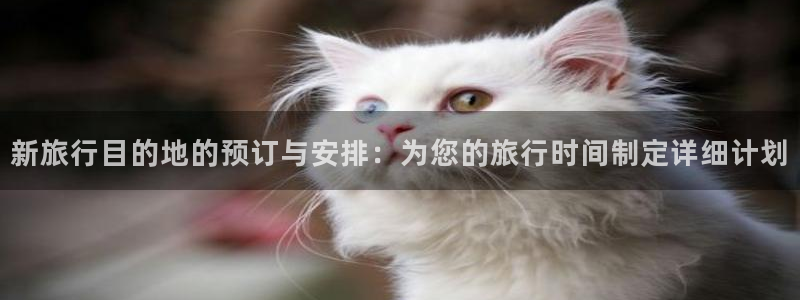 海角社区最新官网：新旅行目的地的预订与安