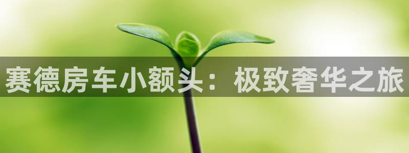 海角社区在线地址：赛德房车小额头：极致奢