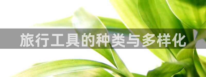 海角社区 原创：旅行工具的种类与多样化